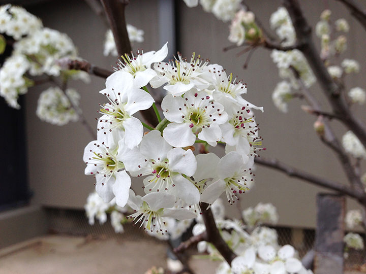 01_iPhone5_720px