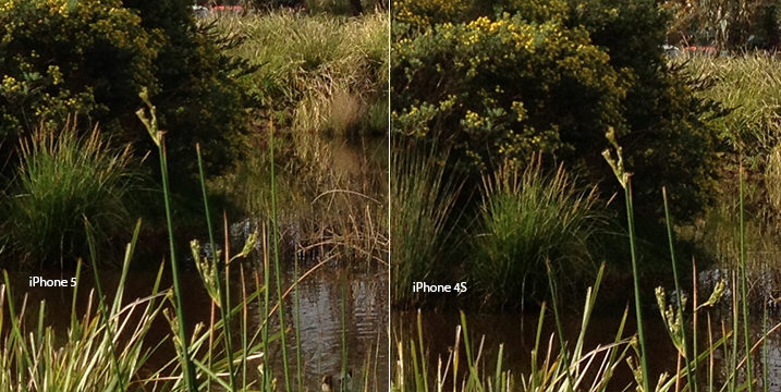 04_crop comparison iPhone 5 vs iPhone 4S image comparison, 100% crop iPhone 5, iPhone 5 photo quality