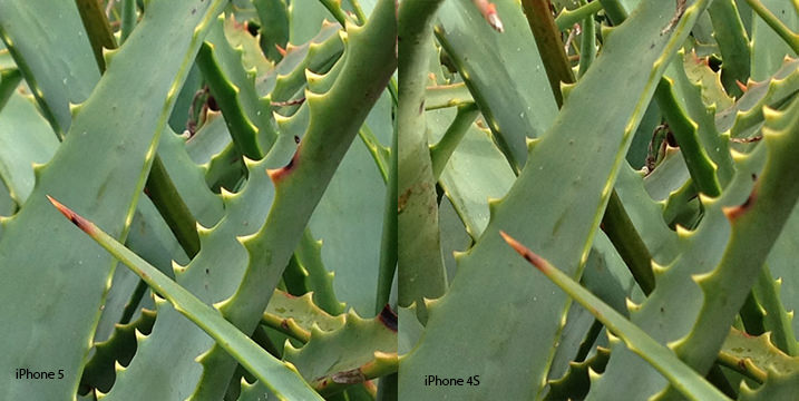 05_crop comparison iPhone 5 vs iPhone 4S image comparison, 100% crop iPhone 5, iPhone 5 photo quality