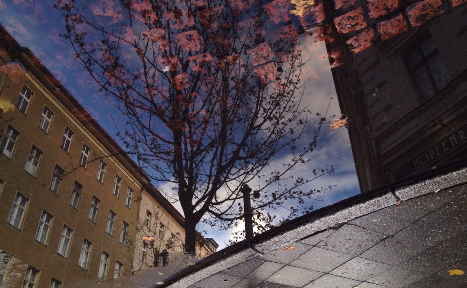 hewison_berlin1
