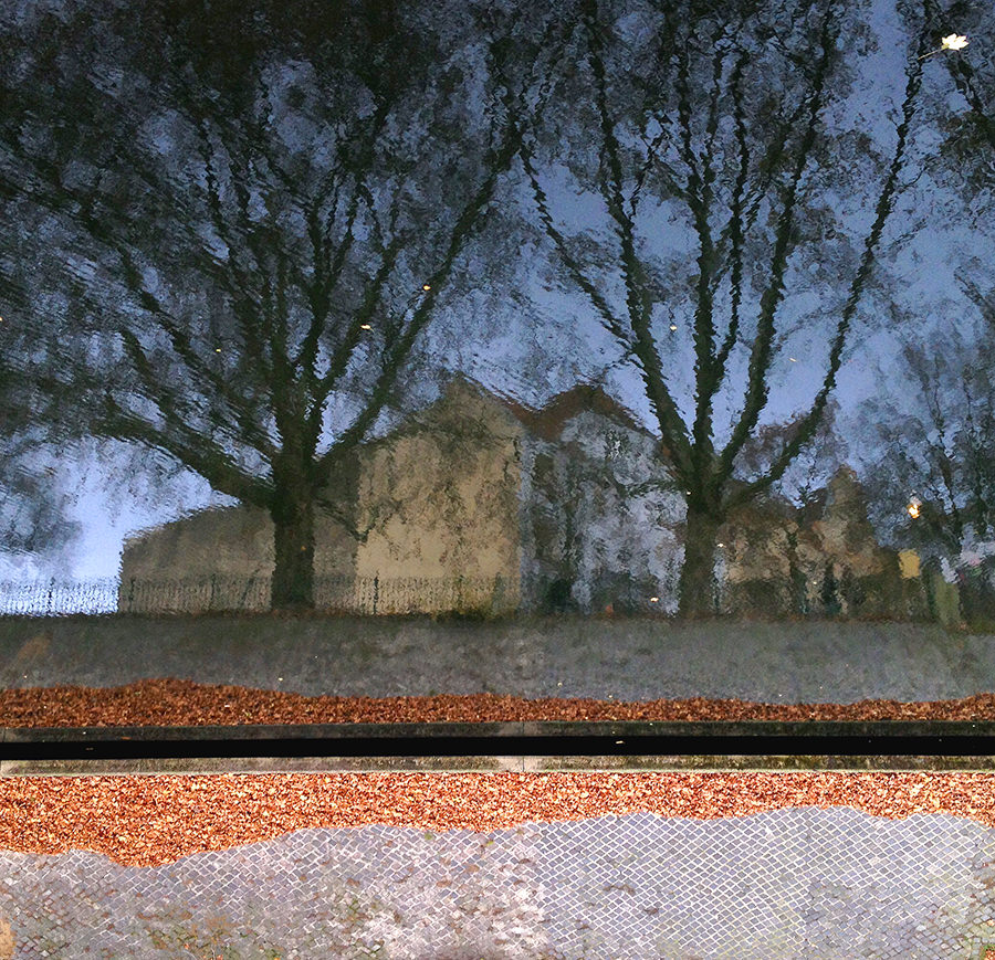 hewison_berlin3