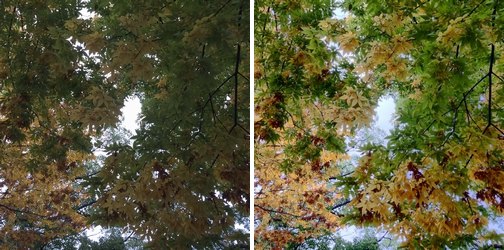 procamera-8-v61-release-07