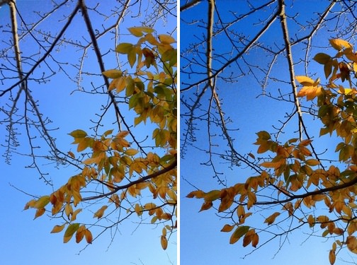 procamera8-v61-manual-hdr-08