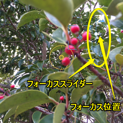 procamera-8-manual-focus-designation-05