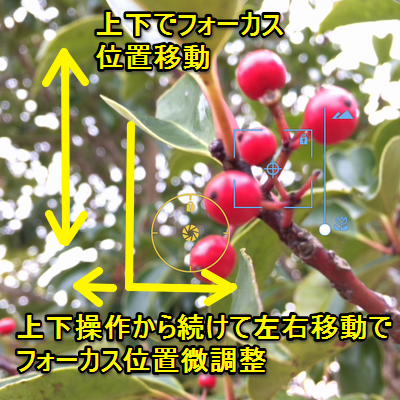procamera-8-manual-focus-designation-06