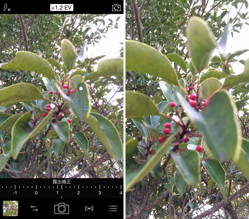 procamera-8-manual-focus-designation-07