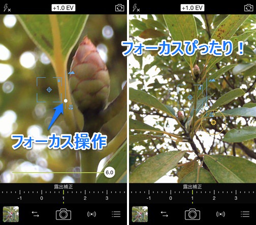 procamera-8-manual-focus-knack-04