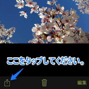procamera-photocon-sakura-2015-01