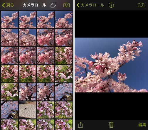 procamera-photocon-sakura-2015-instagram-05