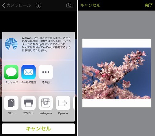 procamera-photocon-sakura-2015-instagram-06