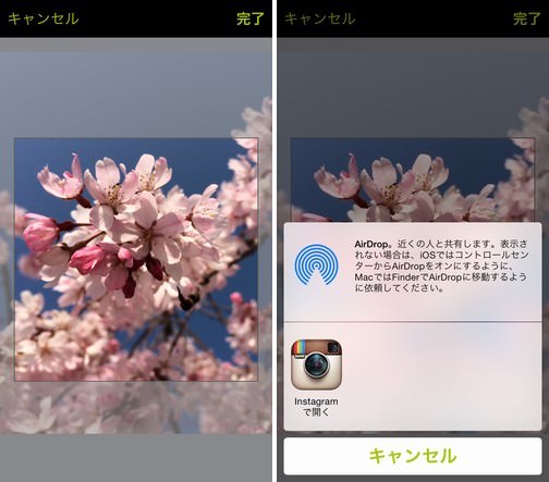 procamera-photocon-sakura-2015-instagram-07