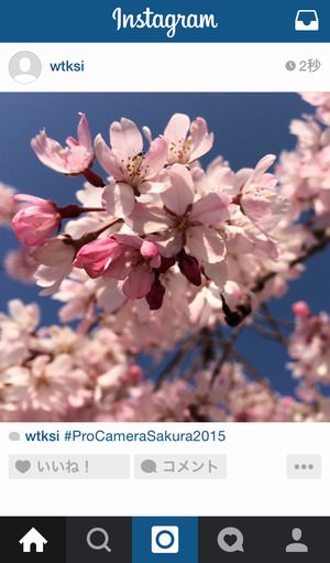 procamera-photocon-sakura-2015-instagram-09