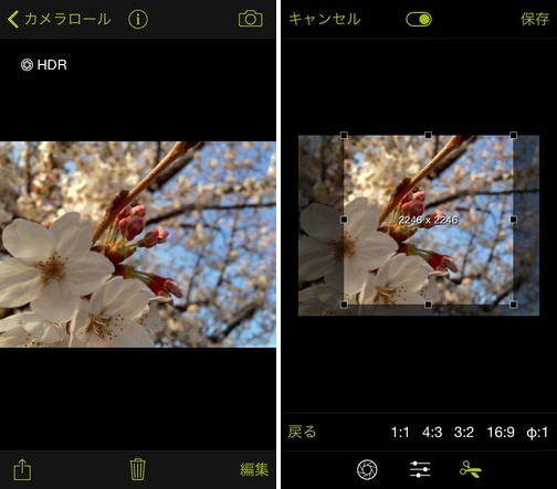 procamera-photocon-sakura-2015-instagram-10