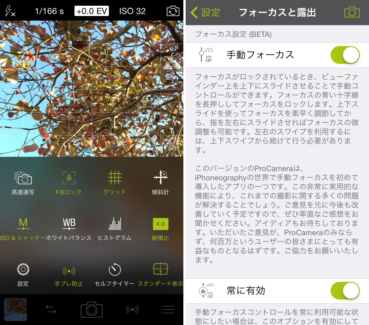 procamera-3-tips-for-autumn-02