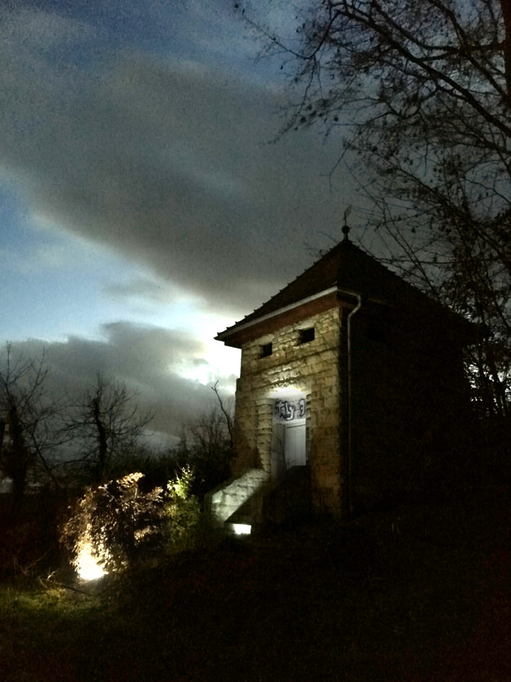 ProCamera low light photo