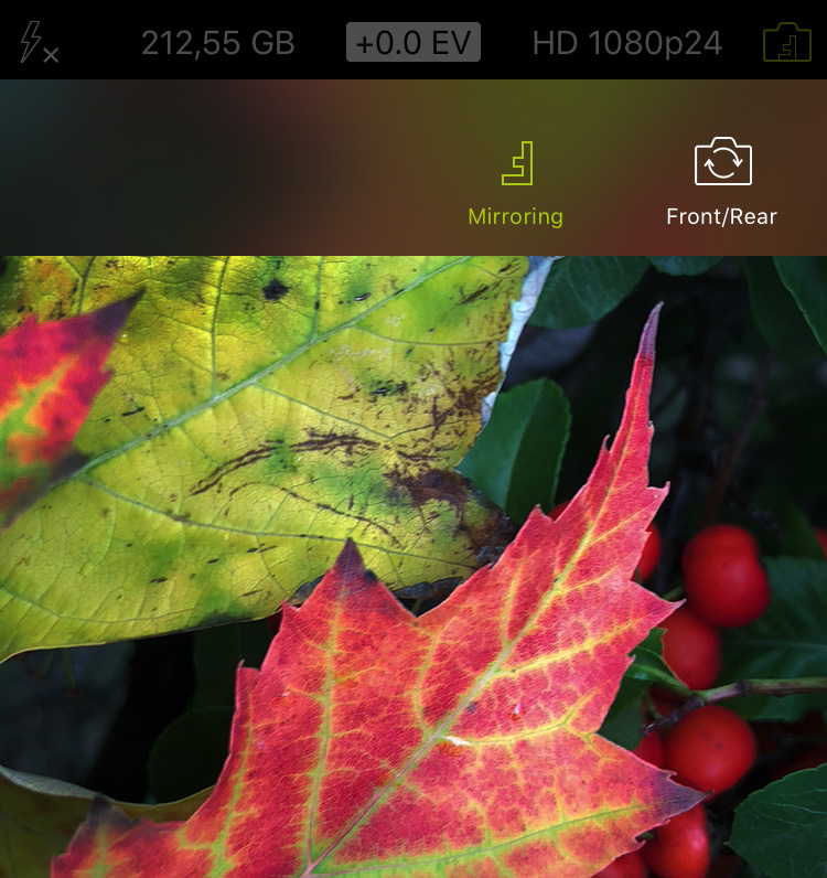 ProCamera_Mirroring_Options_Screenshot