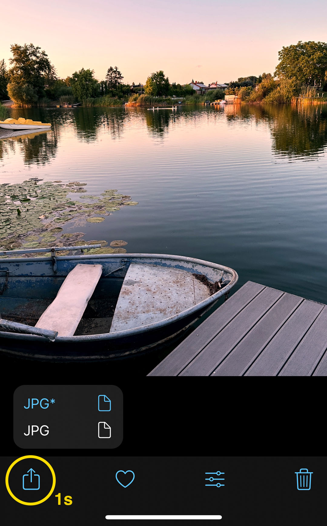 Opening the Sharing Options Menu in ProCamera
